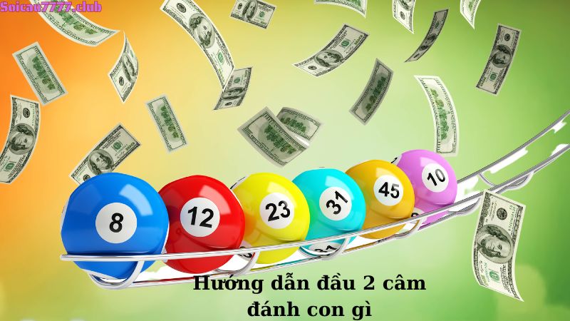 Hướng dẫn đầu 2 câm đánh con gì