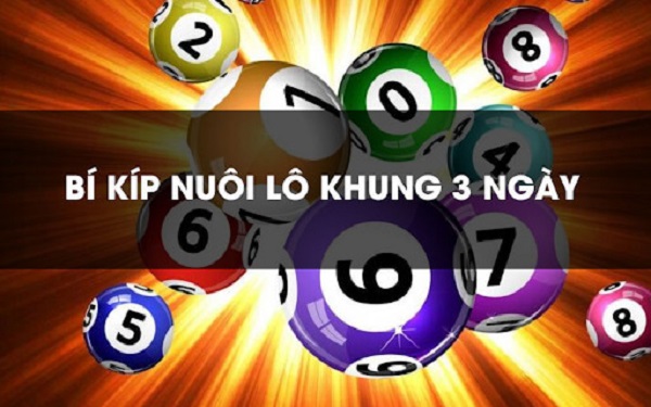 Phương pháp nuôi lô kép khung 3 ngày bất bại