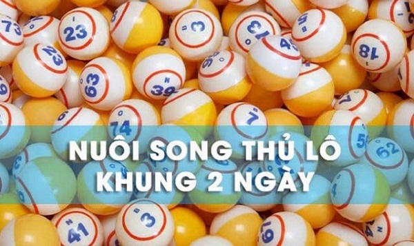 Song thủ lô nuôi khung 2 ngày là gì?