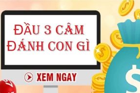 Đầu 3 câm hôm trước hôm sau đánh con gì chính xác nhất