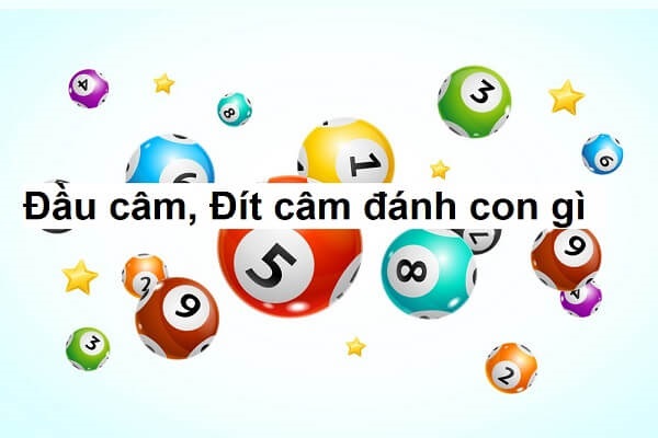 Đầu 2 câm hôm sau đánh con gì dễ trúng nhất?