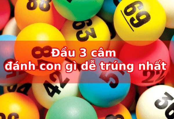 đầu 3 câm hôm sau đánh con gì dễ trúng nhất?