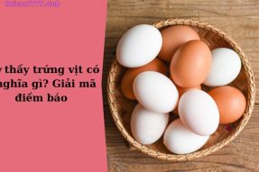 Mơ thấy trứng vịt có điềm báo gì? Đánh số bao nhiêu?