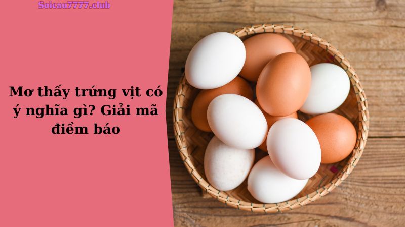 Mơ thấy trứng vịt có ý nghĩa gì? Giải mã điềm báo