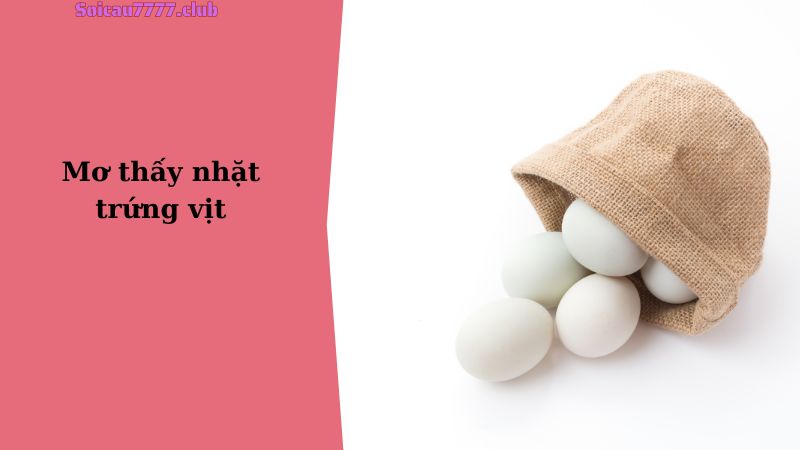 Mơ thấy nhặt trứng vịt