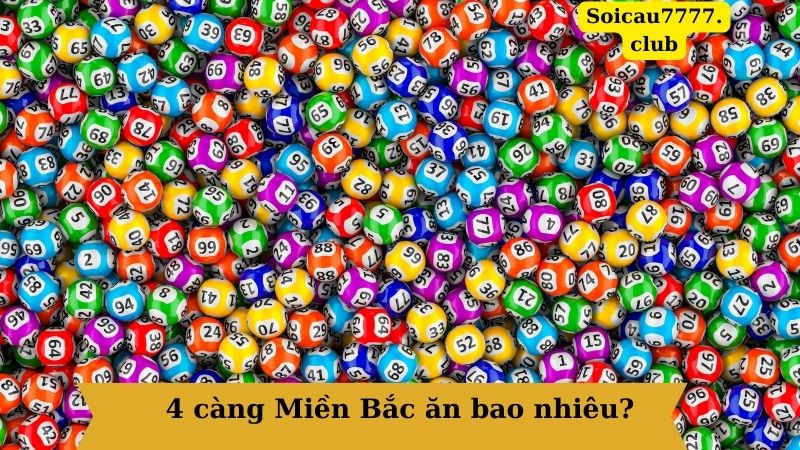 4 càng Miền Bắc ăn bao nhiêu?