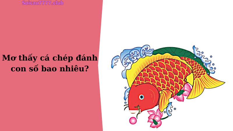 Mơ thấy cá chép đánh con số bao nhiêu?