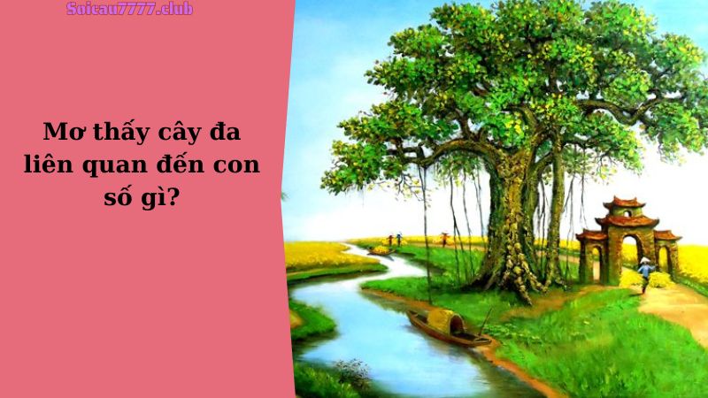 Mơ thấy cây đa liên quan đến con số gì?