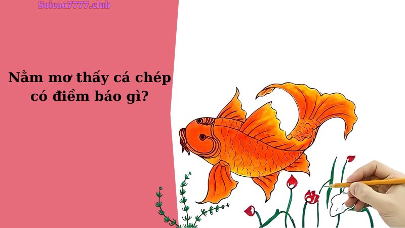 Nằm mơ thấy cá chép có điềm báo gì?