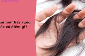 Mơ thấy rụng tóc báo hiệu điềm gì? Đánh con số tương ứng bao nhiêu?