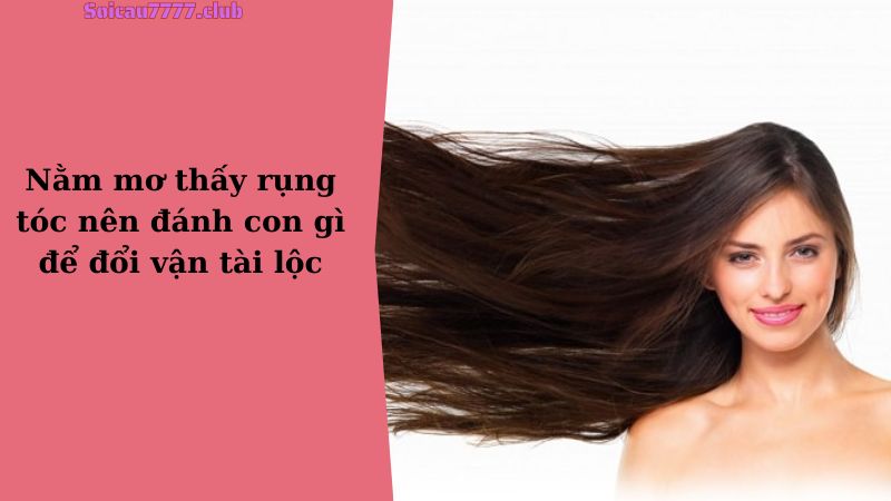 Nằm mơ thấy rụng tóc nên đánh con gì để đổi vận tài lộc