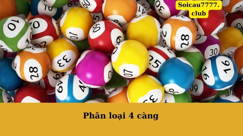 Phân loại 4 càng