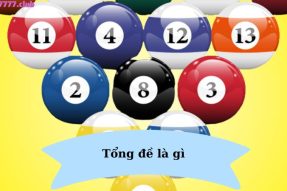 Tổng đề là gì? Các tổng 1, 2, 3, 4, 5, 6, 7, 8, 9 có bao nhiêu con?