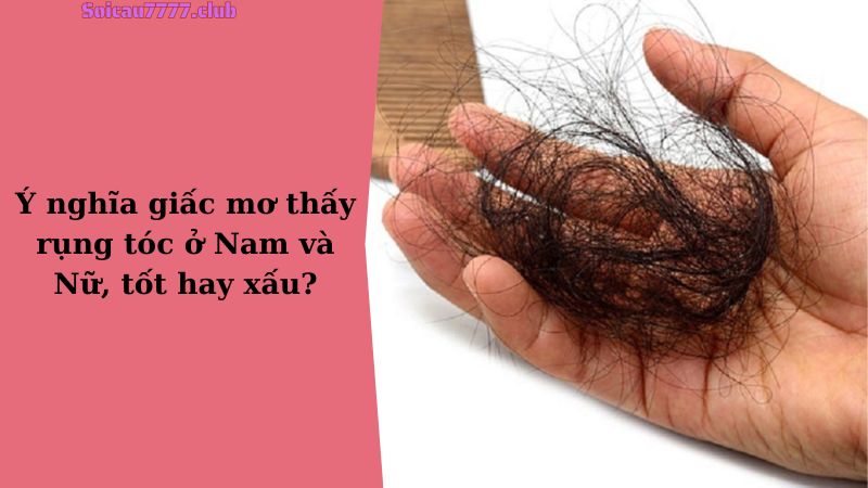 Ý nghĩa giấc mơ thấy rụng tóc ở Nam và Nữ, tốt hay xấu?