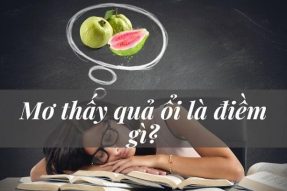 Mơ thấy quả ổi có điềm báo gì? Tương ứng với con số nào?