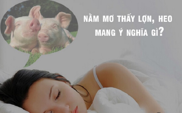 Giải nghĩa giấc mơ thấy lợn (lợn) là điềm báo gì? Tốt hay xấu?