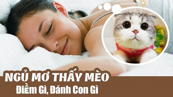 MƠ THẤY MÈO ĐÁNH CON GÌ, ĐÁNH SỐ MẤY?