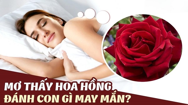 Nằm Mơ Thấy Hoa Liên Quan Đến Con Số Gì?