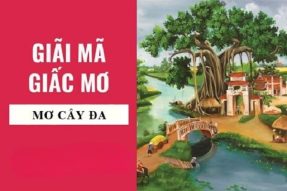 Mơ thấy cây đa có điềm báo gì? Tương ứng với con số nào?
