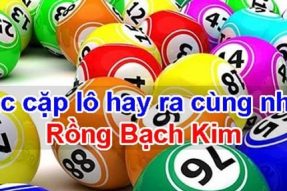 Các cặp lô hay đi cùng nhau Rồng bạch kim chính xác