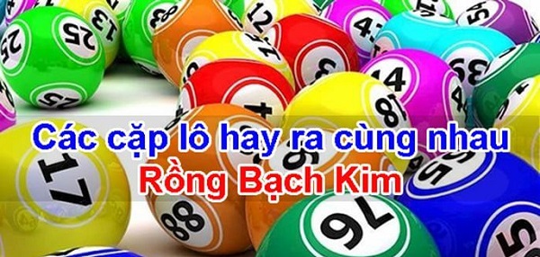 Tổng hợp các cặp lô hay đi cùng nhau rồng bạch kim