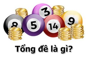 Tổng đề là gì? Các tổng 1, 2, 3, 4, 5, 6, 7, 8, 9 có bao nhiêu con?