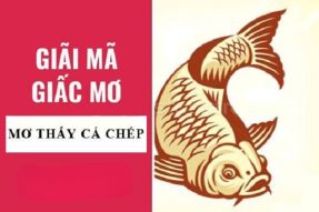 Mơ thấy cá chép có điềm báo gì? Đánh con số bao nhiêu?