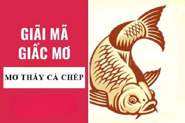 Giải mã giấc mơ thấy cá chép
