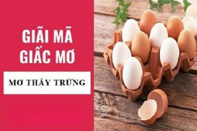 Mơ thấy trứng vịt có điềm báo gì? Đánh số bao nhiêu?