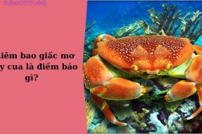 Mơ thấy cua đánh số bao nhiêu? Có điềm báo gì trong tương lai?