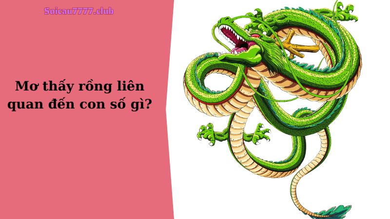 Mơ thấy rồng liên quan đến con số gì?