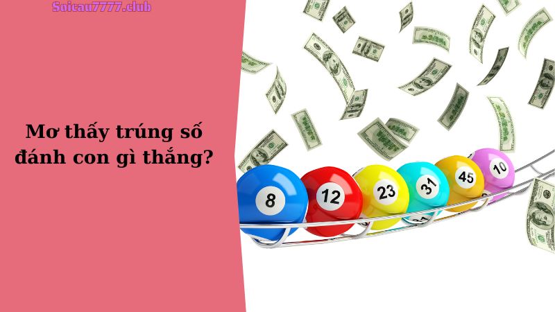 Mơ thấy trúng số đánh con gì thắng?