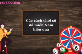 Số đá miền Nam là gì? Cách tính tiền số đá hiệu quả