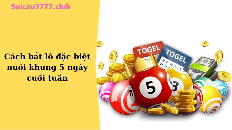 Cách bắt lô đặc biệt nuôi khung 5 ngày cuối tuần