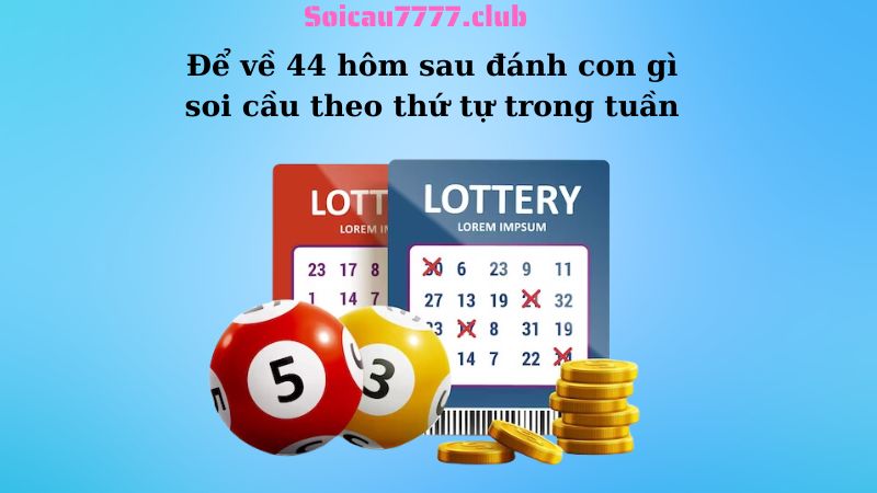 Để về 44 hôm sau đánh con gì soi cầu theo thứ tự trong tuần