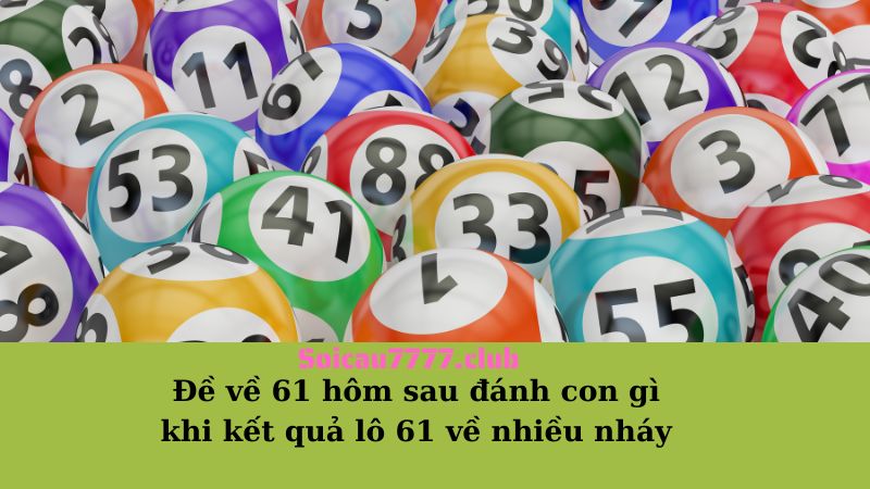 Đề về 61 hôm sau đánh con gì khi kết quả lô 61 về nhiều nháy