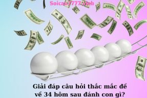 Thống kê đề về 34 hôm sau đánh con gì dành cho các tân thủ