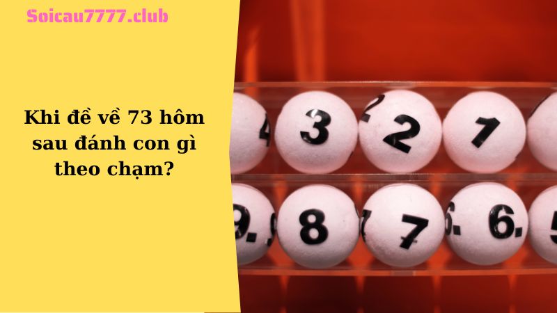 Khi đề về 73 hôm sau đánh con gì theo chạm?