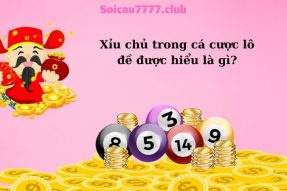 Xỉu chủ là gì? Cách chơi xỉu chủ bao lô Miền Nam hiệu quả