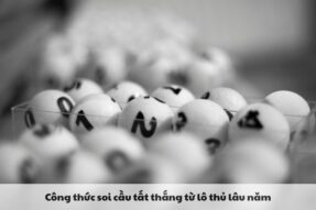 Bí kíp nuôi cầu lô đề online từ lô thủ kỳ cựu